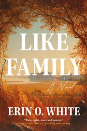 Like family : a novel Book cover